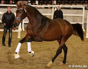 Follow Me x Sir Donnerhall