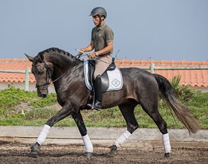 Sebastiao Gonzaga on Iranico JGR :: Photo © Rita Fernandes