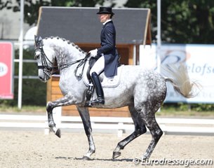 Anna Blomgren and Quattro stunned again with amazing piaffe-passage work, but the horse is very unbalanced in the tempi changes and the extended walk is limited. Blomgren impresses with her quiet seat and aids