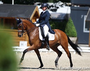 Nikki Schaap on Chocolate Cookie RDP (by Johnson x Livingstone). He was one of three Johnson offspring in this Grand Prix class