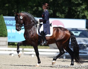 Vicki Thompson-Winfield on the PRE Jacaro, who was shown at small tour in 2015 by Spanish based Swedish Linda Swande