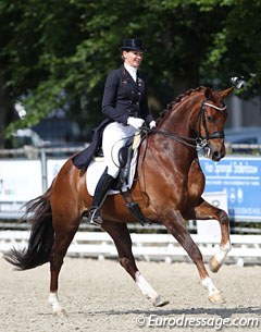 Linda Verwaal on Jakari (by Jazz Rubin x Florestan). This sensitive chestnut has more features from Jazz than Rubinstein