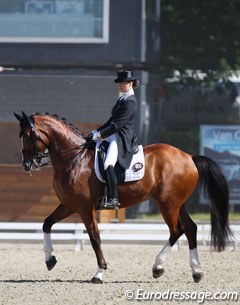 Thamar Zweistra on her second Grand Prix ride Hexagons Denzel (by Zorion x Truppa)