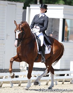 Thamar Zweistra on Leunis van Lieren's homebred Double Dutch (by Johnson x Rubiquil). The bay stallion got recently approved for the KWPN society. This eager beaver is very willing to work and gave almost too much in the piaffe