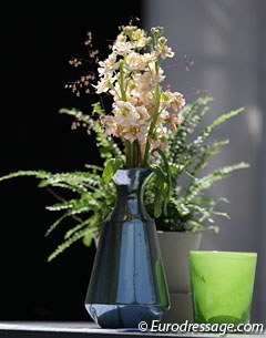 Beautiful flower decorations in the vip and business areas round the main arena. Rotterdam is an ace in attracting corporations to hold business meetings and networking get-togethers during all competition days