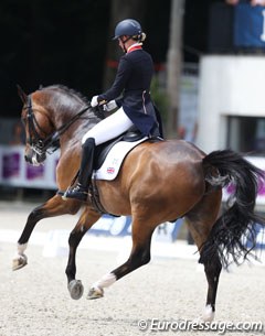 Lara Butler (née Griffith) and Rubin al Asad at their second show in a year time. The bay gelding has much airtime in the passage but needs to move the hindlegs more under in piaffe