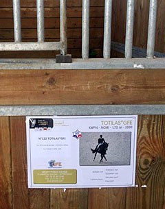 So Totilas was not supposed to come to the stallion show in Saint-Lô, France?! His stall there was ready though.