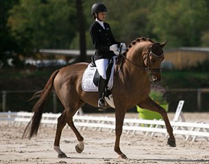 Jessica Michel-Botton and Dorian Grey de Hus at the 2017 French Young Horse Championships :: Photo © Rose Harang