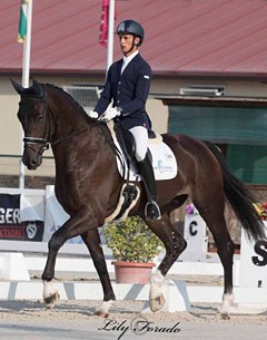 Jordi Cabre Munoz on Farron de Amtuna at the 2017 Spanish Young Horse Championships :: Photo © Lily Forado