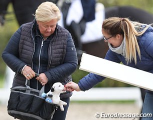 Delphine Beck's new puppy greets the gate keeper