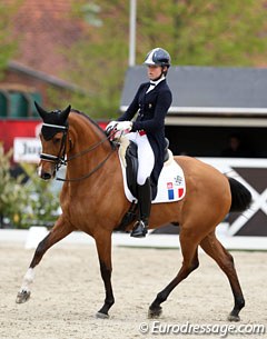 French Lea Bonifay on Timor