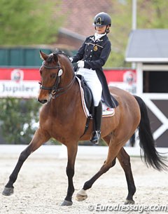 Jamina Gijsels and Zico at the 2017 CDI Sint-Truiden :: Photo © Astrid Appels