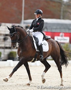 Anne Mette Lyager and Brandtoftes Sjubell at the 2017 CDI Sint-Truiden :: Photo © Astrid Appels