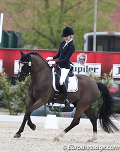 Dutch Pem Verbeek on the former Belgian team pony Matcho D van Prinsenhofs