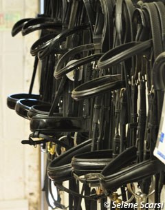 Bridles