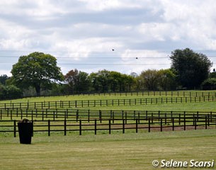 Huge fields for the horses