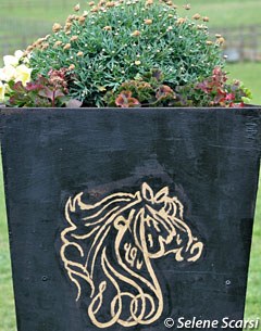 Flowerpot with the Al Shira'aa logo