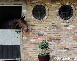 Spacious stalls