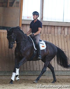 Fortuny in canter