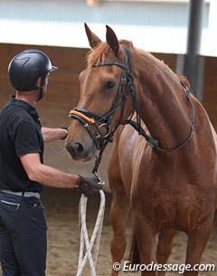 Warwick doing ground work with Javelin