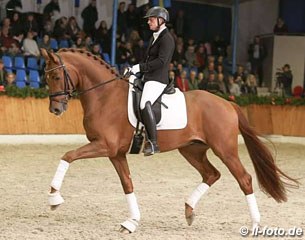 Anja Engelbart and Furst Jazz at the 2017 Paul Schockemohle Stallion Show in Vechta :: Photo © LL-foto