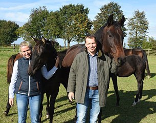 The customer advisors of the Hanoverian Verband will answer questions on origin, upbringing, course of life and training of the young sales horse any time