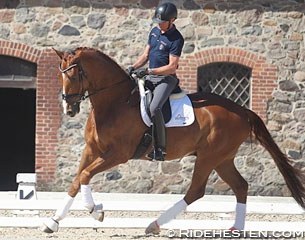 Jan Christensen and Vichi Pax at the 2017 Danish WCYH selection trial in Vilhelmsborg :: Photo © Ridehesten