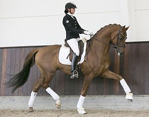 Simone Pearce on D'Avie at Helgstrand Dressage in Denmark