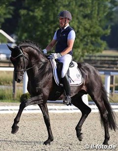 Rudolf Widmann and Revenant at the first German 2017 WCYH selection trial in Warendorf :: Photo © LL-foto