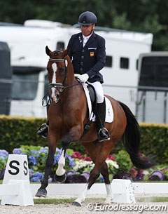 Spanish Grand Prix rider Cristobal Belmonte on Santos OLD (by Sancisco x Levantos). Not the most modern looking youngster, but Santos showed a cadenced trot and functional walk. Both flying changes were in two phases.