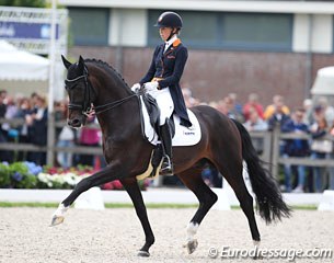 Kirsten Brouwer on the KWPN licensed stallion Ferdeaux (by Bordeaux x Ferro). He has a beautiful, ground covering trot, but he struggled in canter. The horse flashes its teeth. He needs to develop more self carriage
