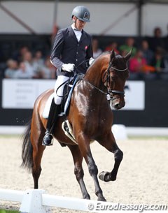 Michael Bugan's Austrian warmblood Floretto DK (by Furstenball x Samba Hit I) was not ready for Ermelo