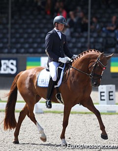 The first Slovakian to compete at the World Young Horse Championships: Michael Bugan on the lovely Scarlett O Harrah (by Spörcken x White Star) 