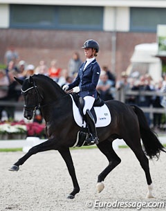 Governor at the 2017 World Young Horse Championships :: Photo © Astrid Appels