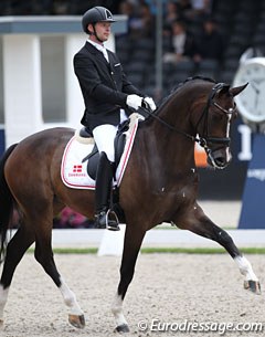 Kenneth Damgaard on the lovely Hojgaardens Santos (by San Amour x Friendship). Super graceful in trot with much shoulder freedom, Santos lacked flexion in the hocks in canter