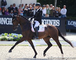 Kenneth Damgaard on the Danish bred Stenagers Wyatt Earp (by Wilkens x Sandro Hit). The bay is active in trot but needs to carry more weight behind. The canter is the high point with much uphill potential.