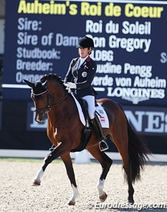 Stephanie Dearing and Auheim's Roi de Coeur (by Roi du Soleil x Don Gregory). The cute bay was very forward and ground covering but the hindlegs moved out instead of under the body towards the point of gravity