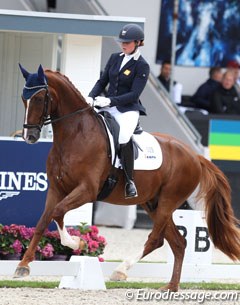 Mara de Vries on Habibi DVB (by Don Schufro x Johnson). This very well trained chestnut is slightly long in the back and has troubles to develop a clear rhythm in walk. The canter and trot covered much ground