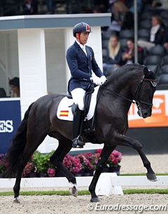 Spanish Guillermo Garcia Ayala did an excellent job in presenting his PRE Poeta de Susaeta (by Cacique) in a relaxed way, preventing the horse's gaits to get hectic