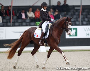 French Isabelle Gayot on Daydream d'Arion (by Don Diamond x Lauries Crusador xx). The colourful chestnut was quite downhill, but he has lovely gaits. Ridden with more collection & power from behind, this horse could be an eyecatcher