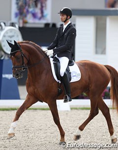 Barnabas Gemes on the Hungarian warmblood Jamiroquai (by Johnson x Alabardos). The chestnut has a lovely canter and is up in the frame, but he was quite tense today, impressed by the surrounding