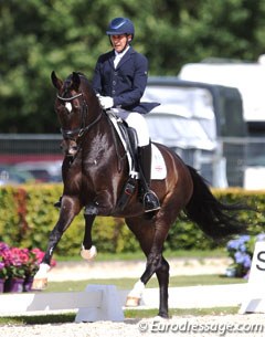 Thomas "Tom" Goode on Ulla Smirnova's Hanoverian Saint Julian (by Sandro Hit x Donnerhall)