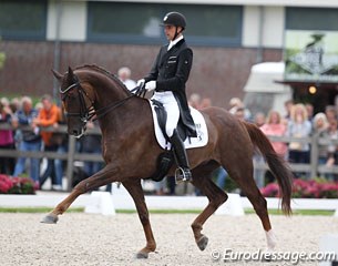 Andreas Helgstrand on the Swedish warmblood Springbank VH (by Skovens Rafael x De Niro). The trot work was forward and fluent, but in walk the horse got too tense and Andreas could not filter it out in the canter work. Pity