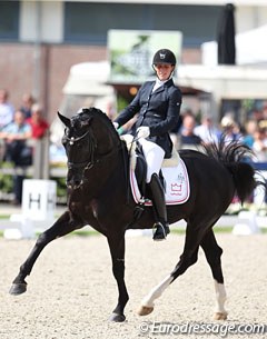 Anne Marie Hosbond on Straight Horse Don Tamino (by Totilas x Don Schufro)