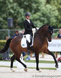 Karin Oljemark on the Swedish warmblood mare Tiger G (by Tuschinski x Sir Donnerhall)