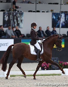Belgian Larissa Pauluis on the Westfalian bred & SBS licensed stallion First Step Valentin (by Vitalis x Fidermark). The liver chestnut has a scopey, elegant trot with much shoulder freedom. The horse needs to get stronger in the back though