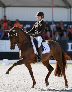 Larissa Pauluis and First Step Valentin at the 2017 World Young Horse Championships :: Photo © Astrid Appels