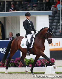 Philipp Ruwe on the Swedish bred and owned Touchdown (by Quaterback x Sack). Beautifully presented in a soft and harmonious way, the trot was well balanced but the canter could be more uphill