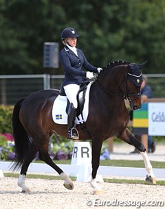 Sandra Sterntorp on Emma Karlsson's Swedish bred Simmebros Martell (by Insterburg x First Wish). The gelding parked himself twice and not wanting to have an argument in the test, Sterntorp retired him