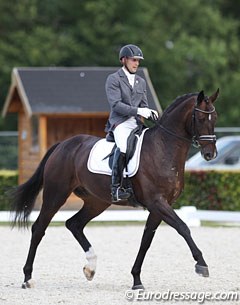 Csaba Szokola and Siracusa at the 2017 World Young Horse Championships :: Photo © Astrid Appels